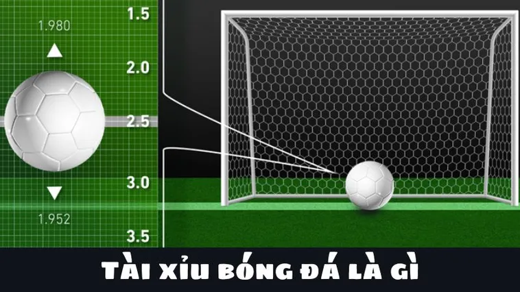Hướng Dẫn Cách Chơi Kèo Tài Xỉu Bóng Đá Tại Keovip.blog Chuẩn Xác 2 Hướng Dẫn Cách Chơi Kèo Tài Xỉu Bóng Đá Tại Keovip.blog Chuẩn Xác